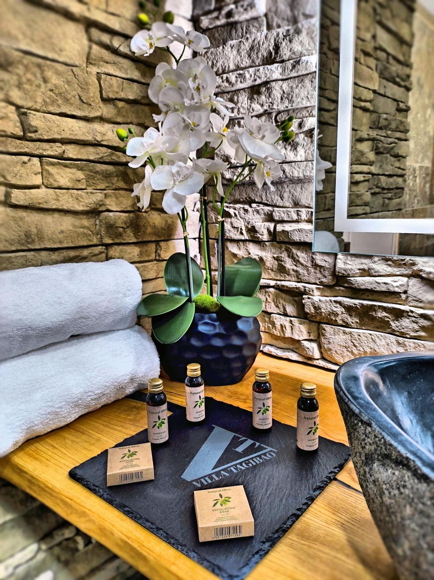 Villa Tagibao Avec Piscine Chauffee Et Spa Lesterps エクステリア 写真
