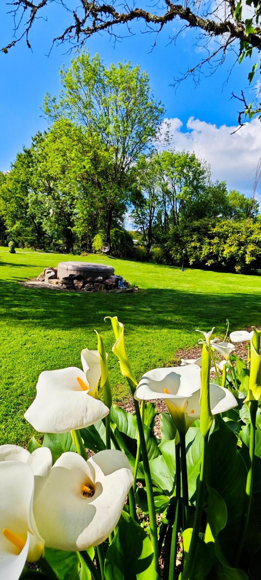 Villa Tagibao Avec Piscine Chauffee Et Spa Lesterps エクステリア 写真